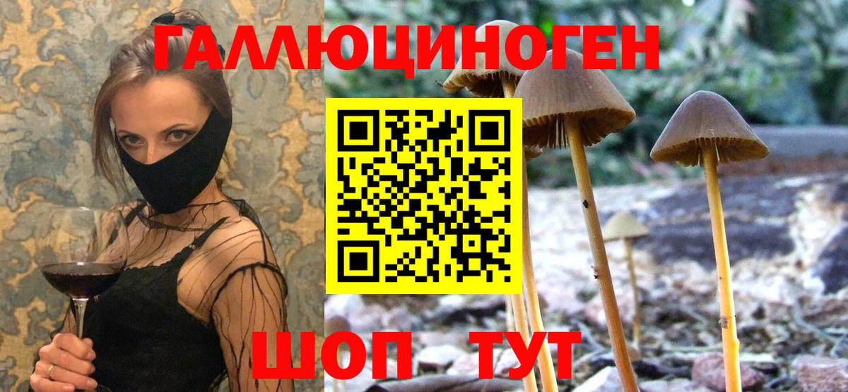 Галлюциногенные грибы прущие грибы  цены   Алапаевск  Вход с VPN 